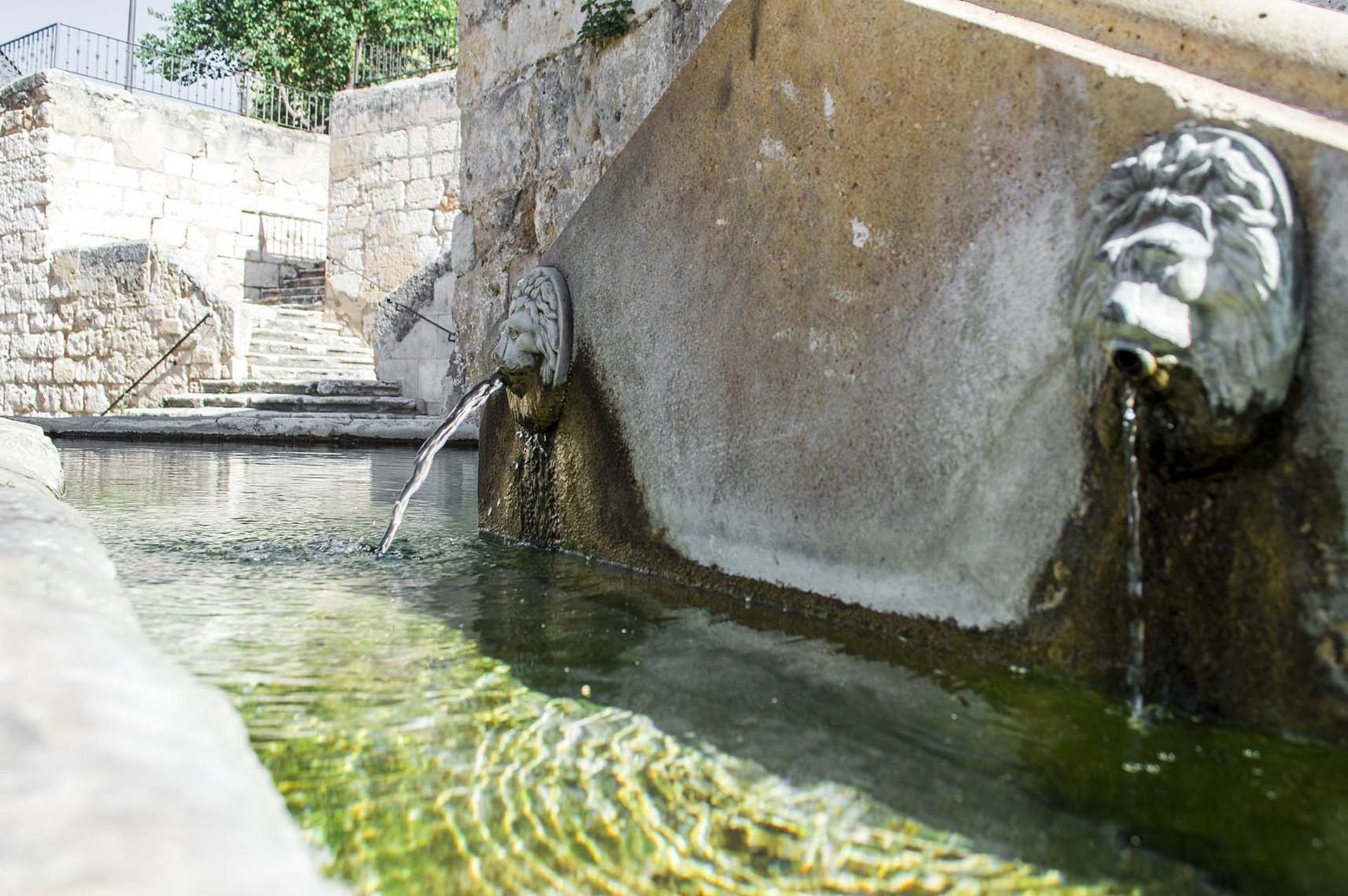 El caño