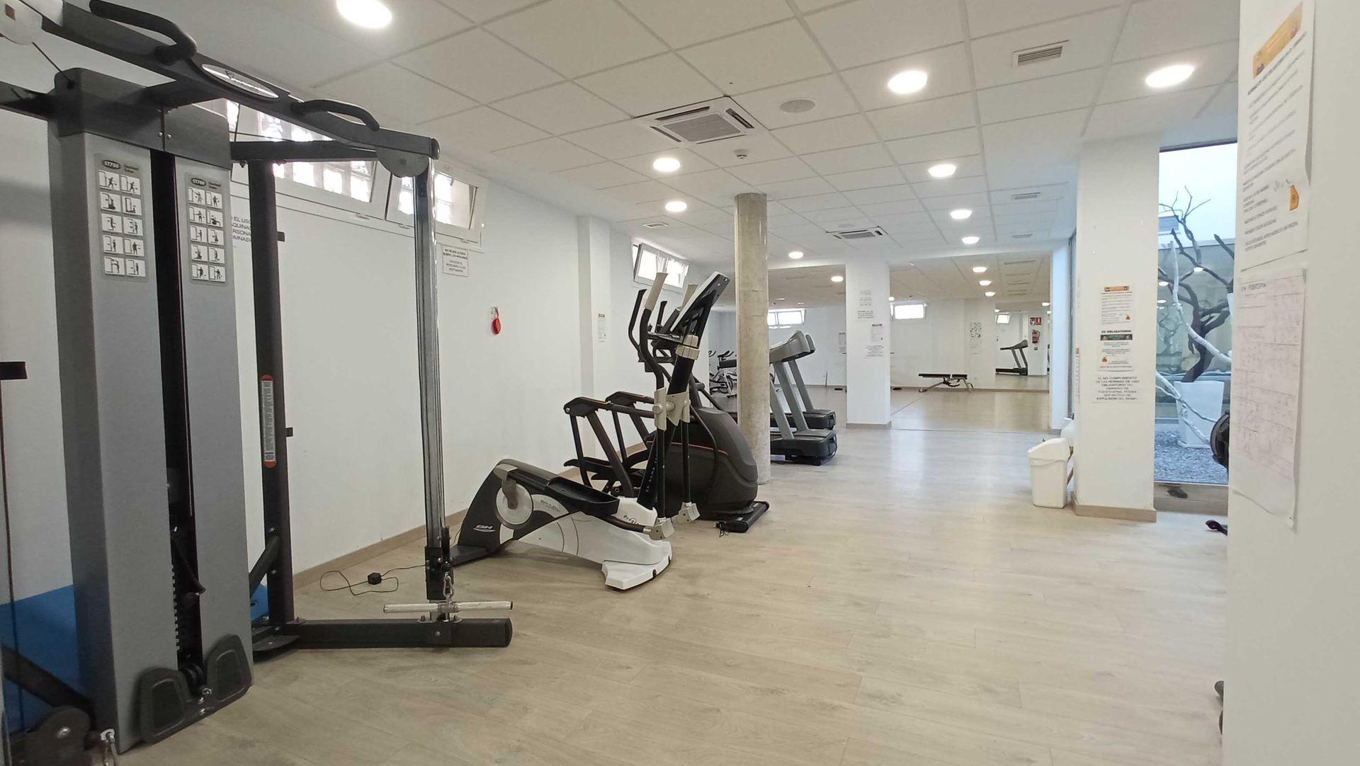 Gimnasio