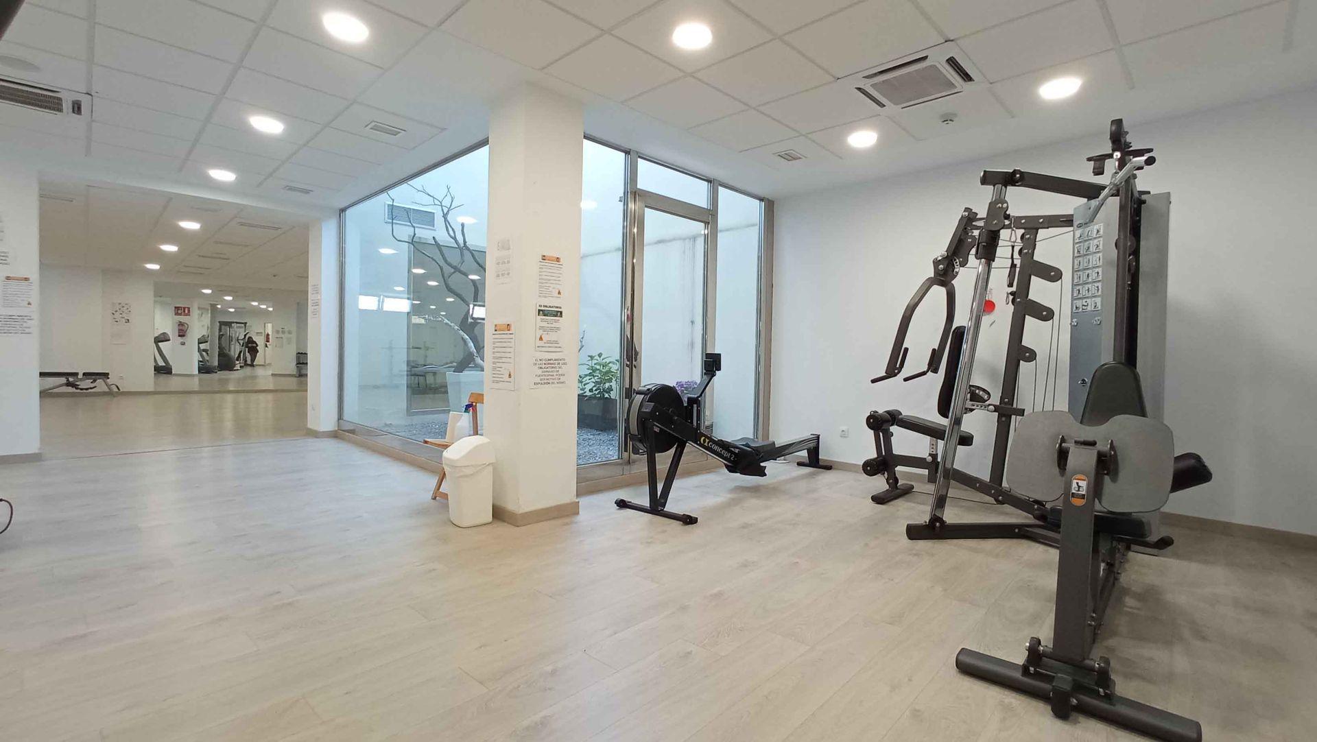 Gimnasio