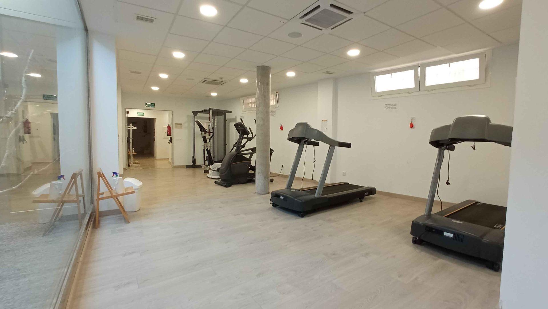 Gimnasio