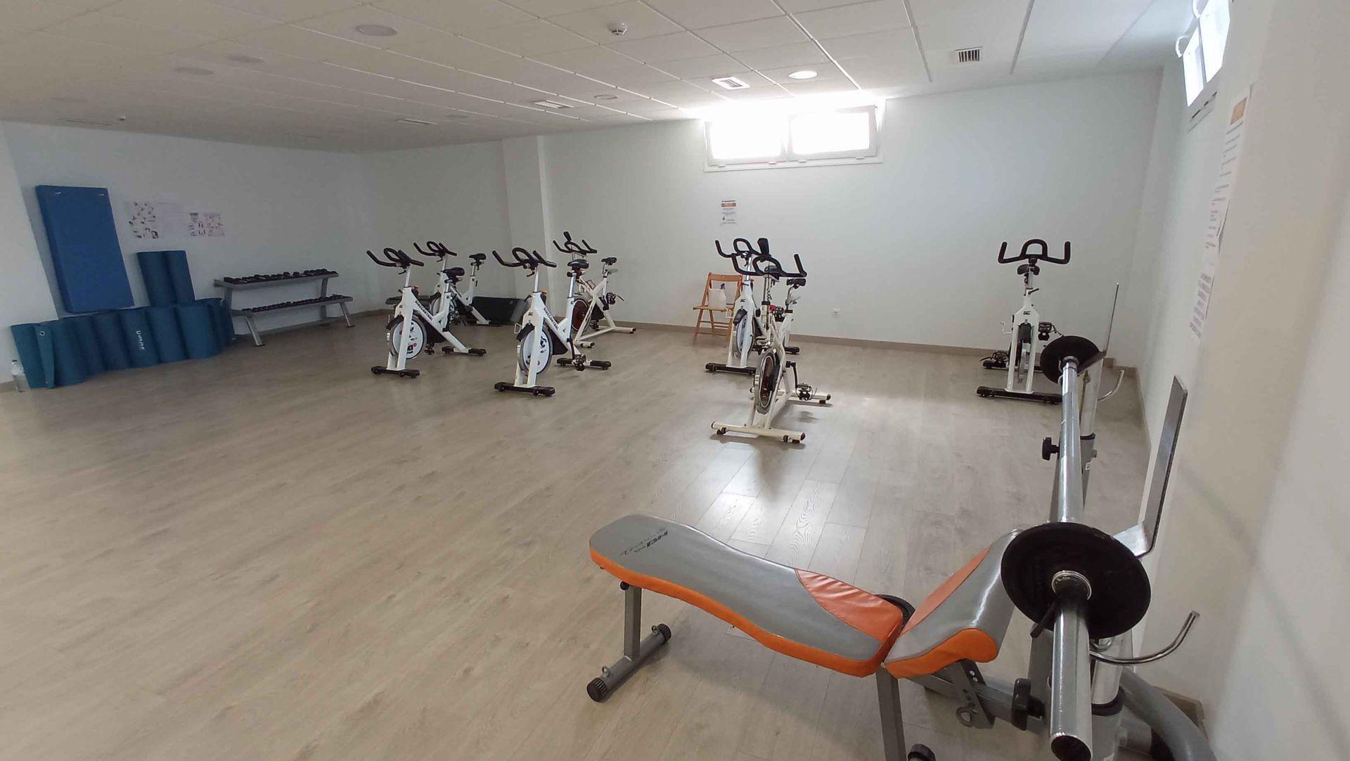 Gimnasio