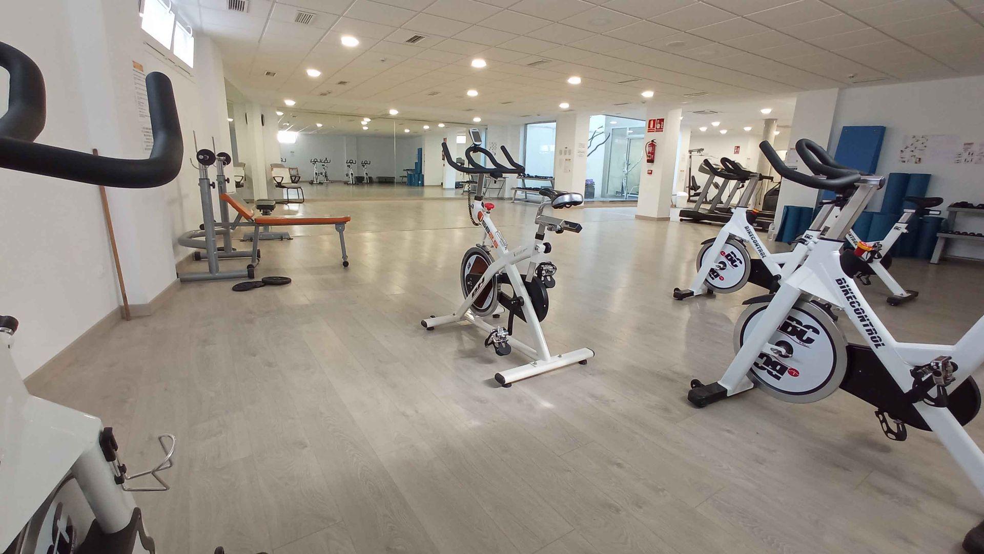 Gimnasio