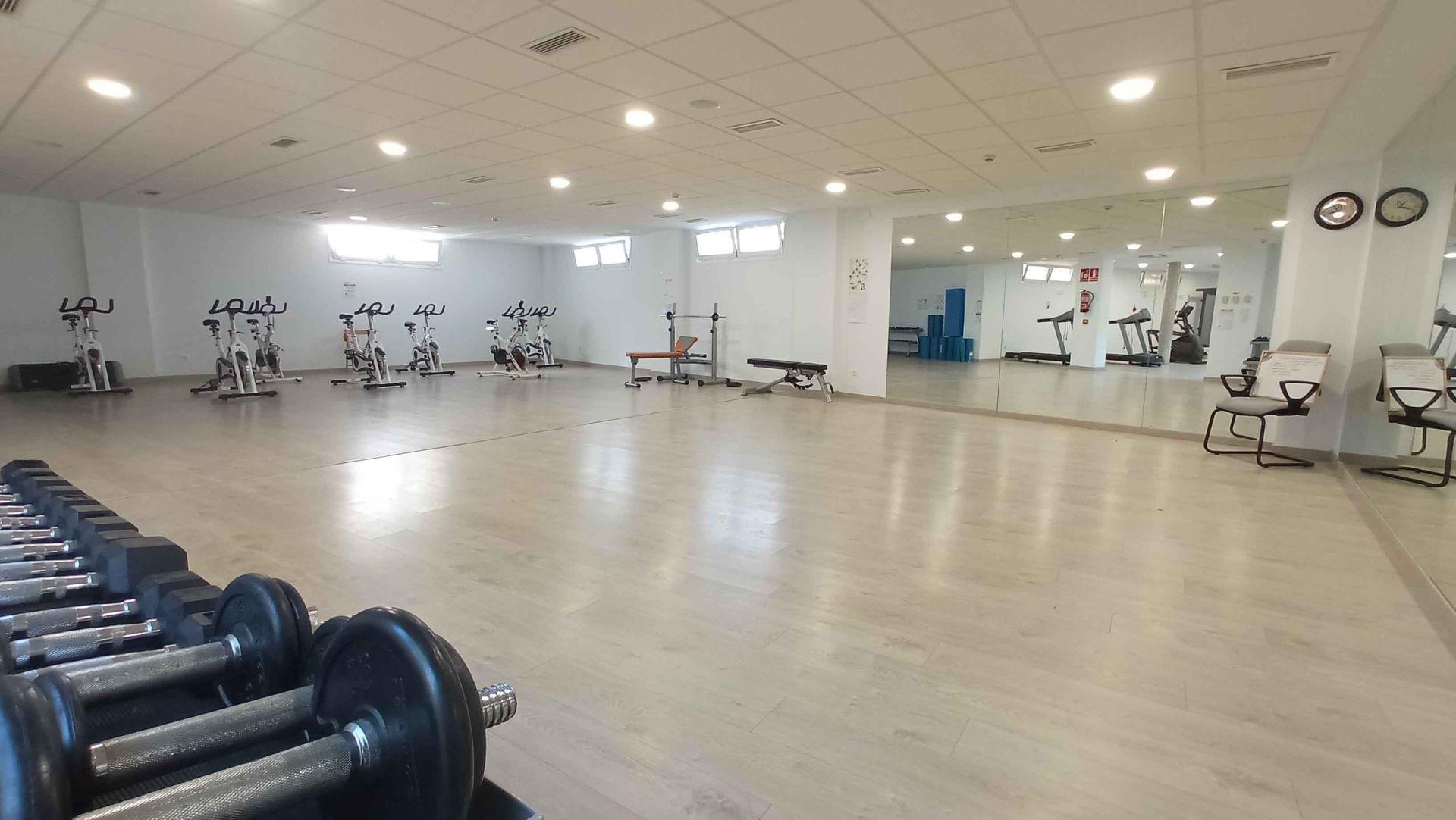 Gimnasio
