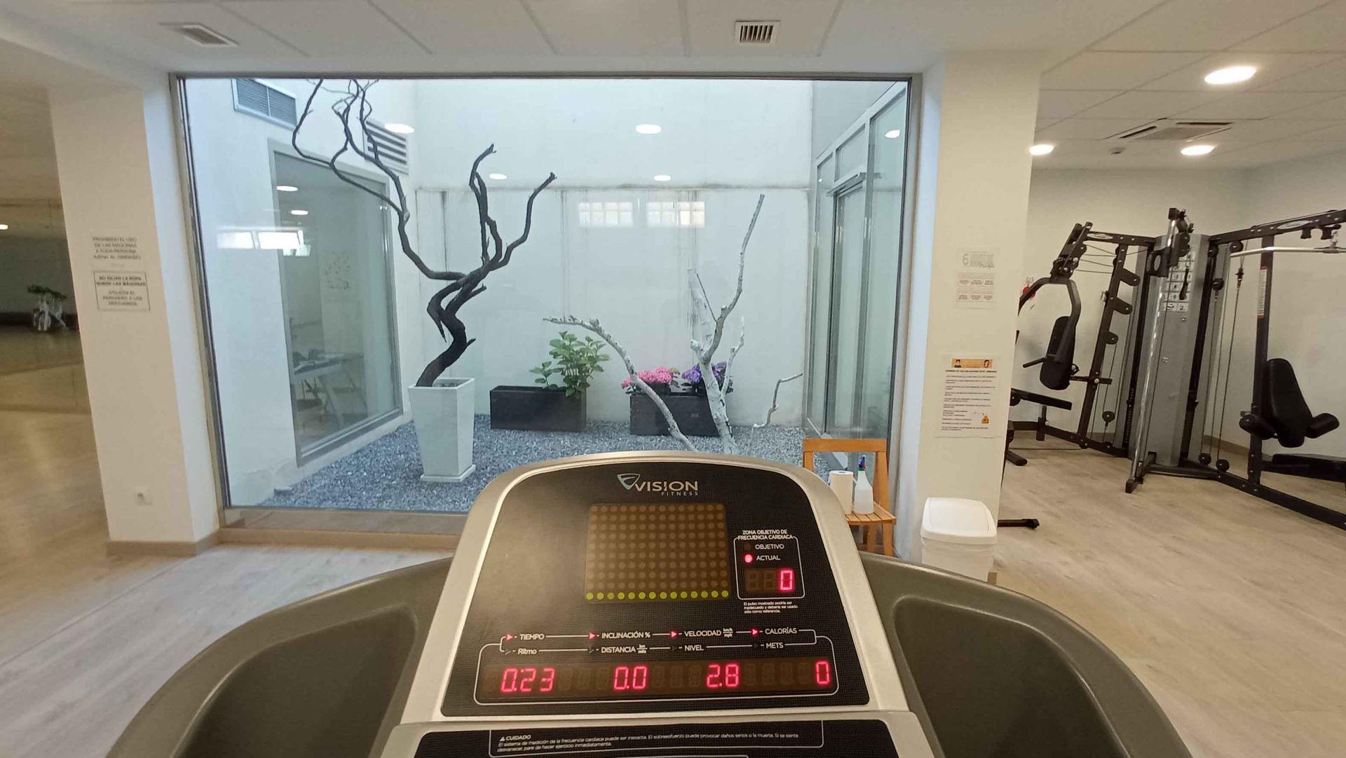 Gimnasio